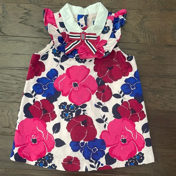 Janie and Jack Other - Janie and Jack Girl Floral Collared Dress 12-18M